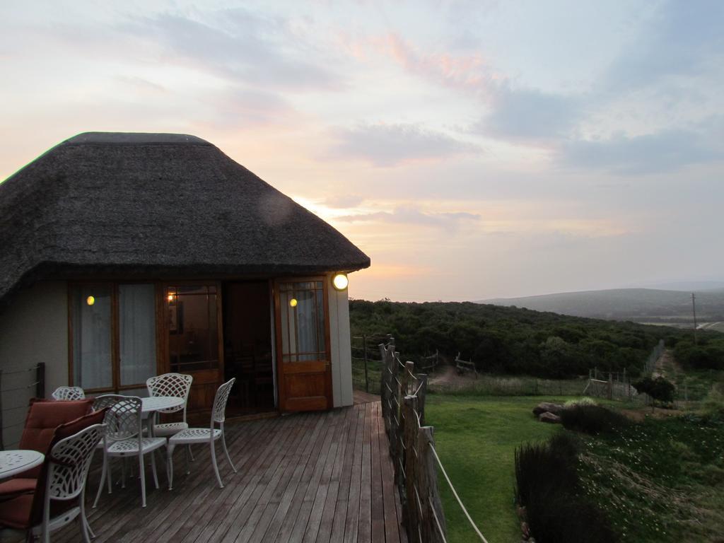 Addo Dung Beetle Guest Farm Villa Exterior photo