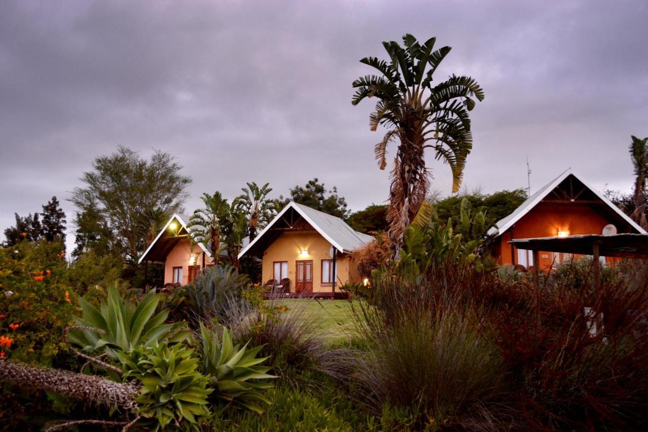 Addo Dung Beetle Guest Farm Villa Exterior photo