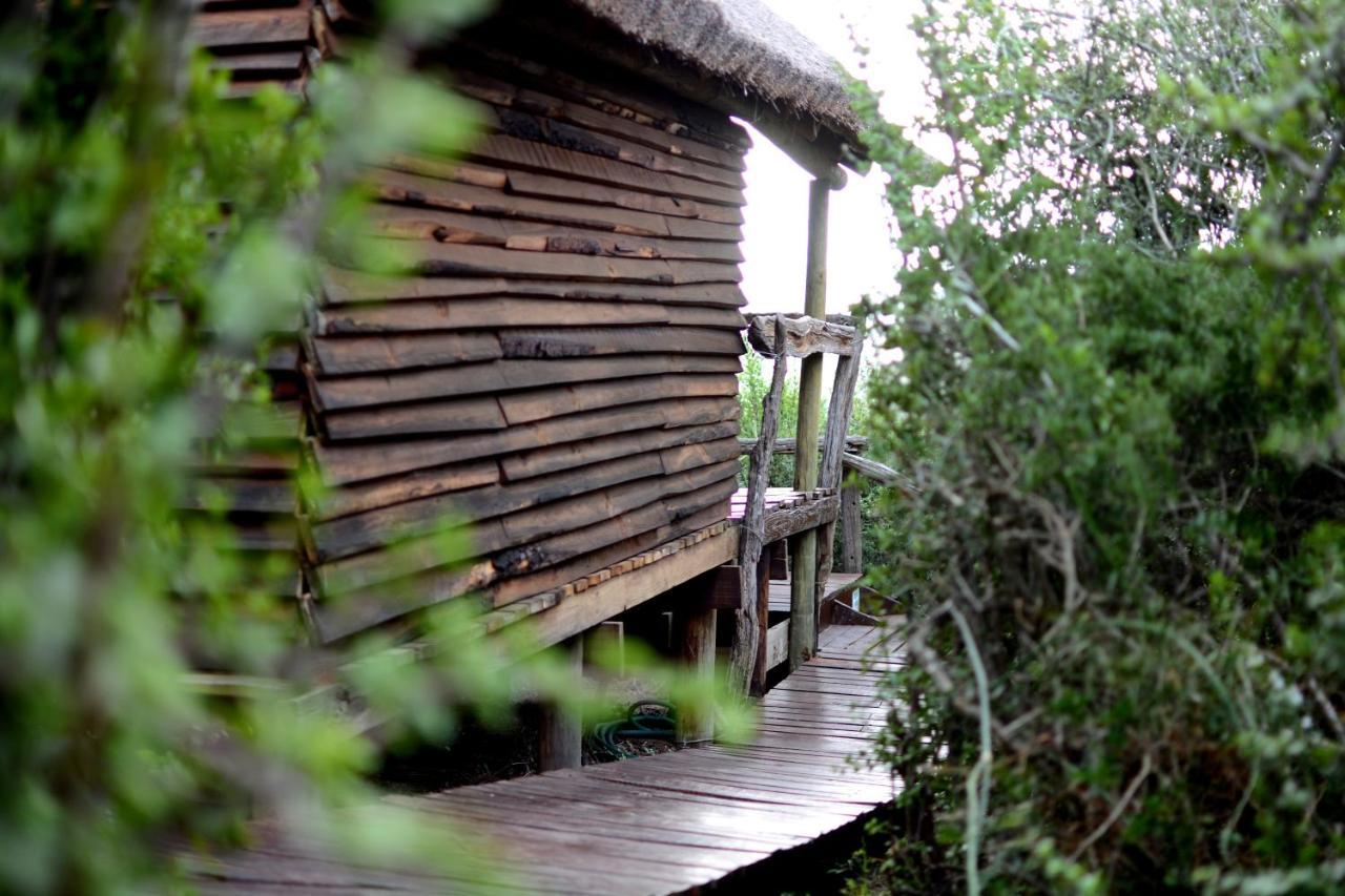 Addo Dung Beetle Guest Farm Villa Exterior photo